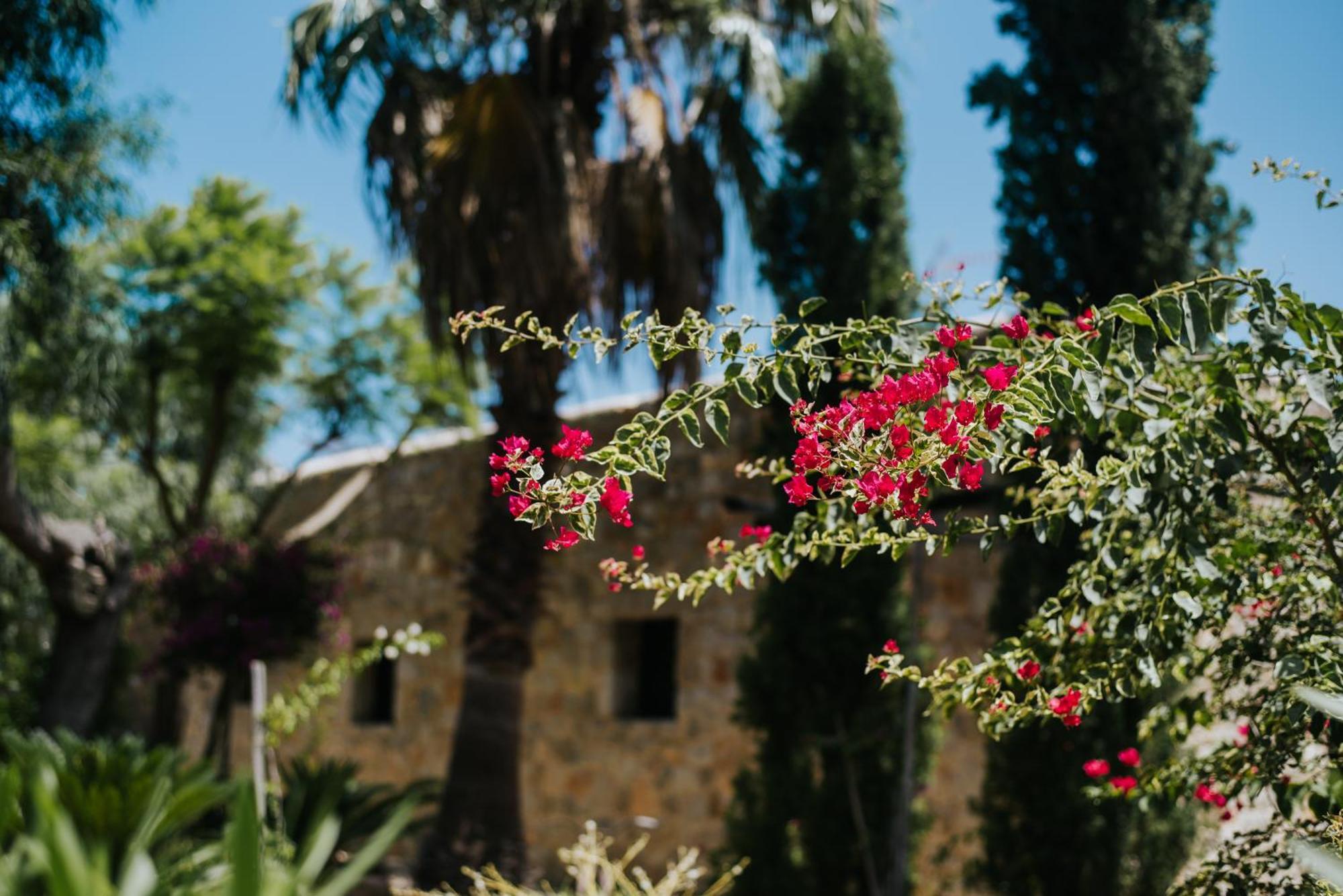 كالا تاريدا Villa & Guesthouse Paissa D'En Bernat المظهر الخارجي الصورة